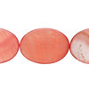 Mother-of-pearl shell 1pkg1, flat oval bead 15 inch tulip 24x17mm-25x18mm image number 0