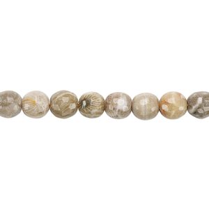 Fossil coral 1pkg1, faceted round bead natural 8 inch 6mm