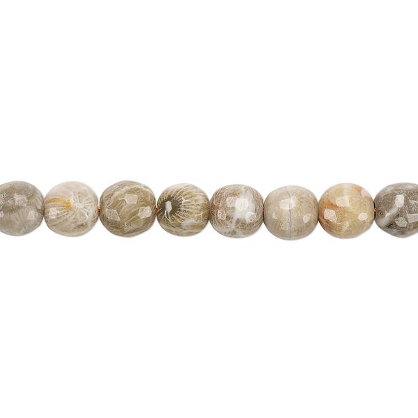 Fossil coral 1pkg1, faceted round bead natural 8 inch 6mm image number 0