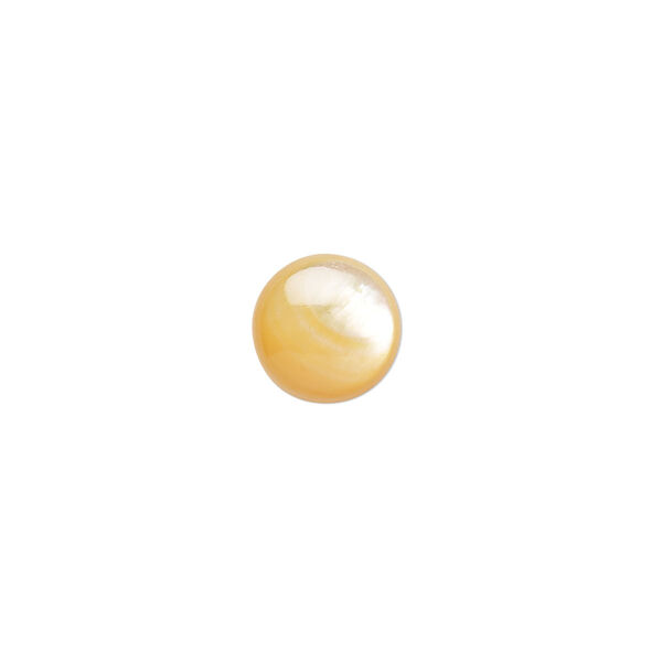 Cabochon, gold lip shell (natural), 10mm calibrated round, Mohs hardness 3-1/2. Sold per pkg of 2. image number 0