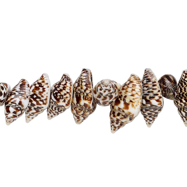 Bead, nassa tiger shell (natural), 9x6mm-12x6mm shell, Mohs hardness 3-1/2. Sold per 15-1/2" to 16" strand. image number 0