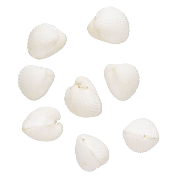 Ark shell 1pkg8, bead white 17-20mm image number 0