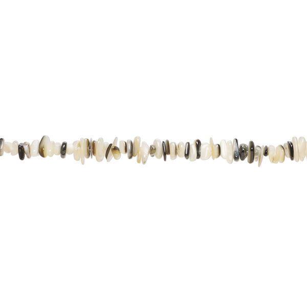 Bead 1pkg1, black lip shell / gold lip shell / mother-of-pearl shell (natural / bleached), small to extra-large chip, 15 inches. image number 1