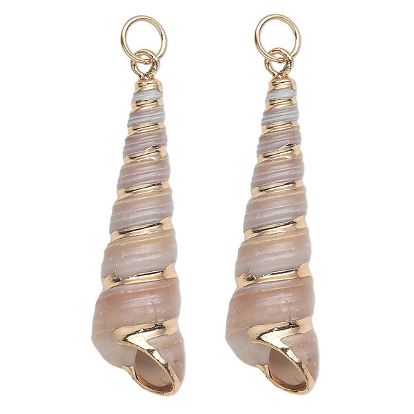Focal, tower shell (natural) and gold-finished steel, white and tan, 32x10mm-40x12mm shell, Mohs hardness 3-1/2. Sold per pkg of 2. image number 0