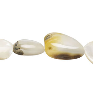Black lip / gold lip / mother-of-pearl shell 1pkg1, nugget bead 15 inch small to extra-large