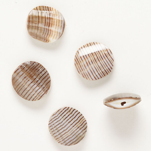 Bead conus shell 5pk 20x18mm-21x20mm puffed oval, natural image number 0