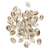Component mix 1pkg50, cowrie shell (natural), 13x9mm-24x18mm undrilled, Mohs hardness 3-1/2. image number 1