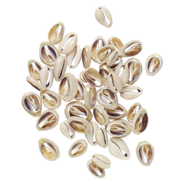 Component mix 1pkg50, cowrie shell (natural), 13x9mm-24x18mm undrilled, Mohs hardness 3-1/2. image number 1