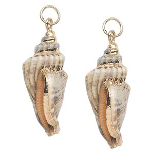 Focal, conch shell (natural) and gold-finished steel, white / dark brown / light brown, 38x18mm. Sold per pkg of 2.