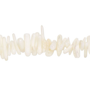 Bamboo coral 1pkg1, cupolini bead, 15 inch white 8x1mm-20x3mm
