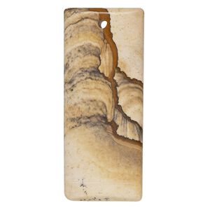 Picture jasper 1pkg1, top-drilled rectangle focal natural 52x20mm