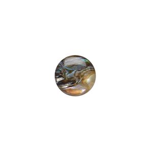 Cabochon, paua shell (coated), 12mm calibrated round, Mohs hardness 3-1/2. Sold per pkg of 4.