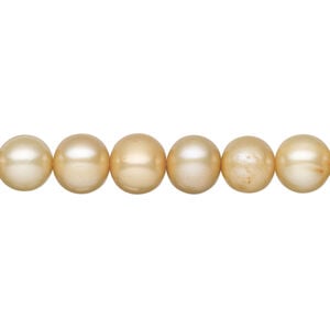 Freshwater pearl 1pkg1, semi-round, 15 inch champagne 7-9mm cultured