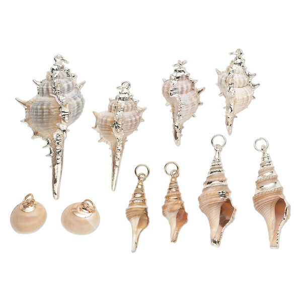 Focal and drop mix, multi-shell (natural) with gold-finished and silver-plated steel, 17x16mm-53x19mm. Sold per pkg of 10. image number 0