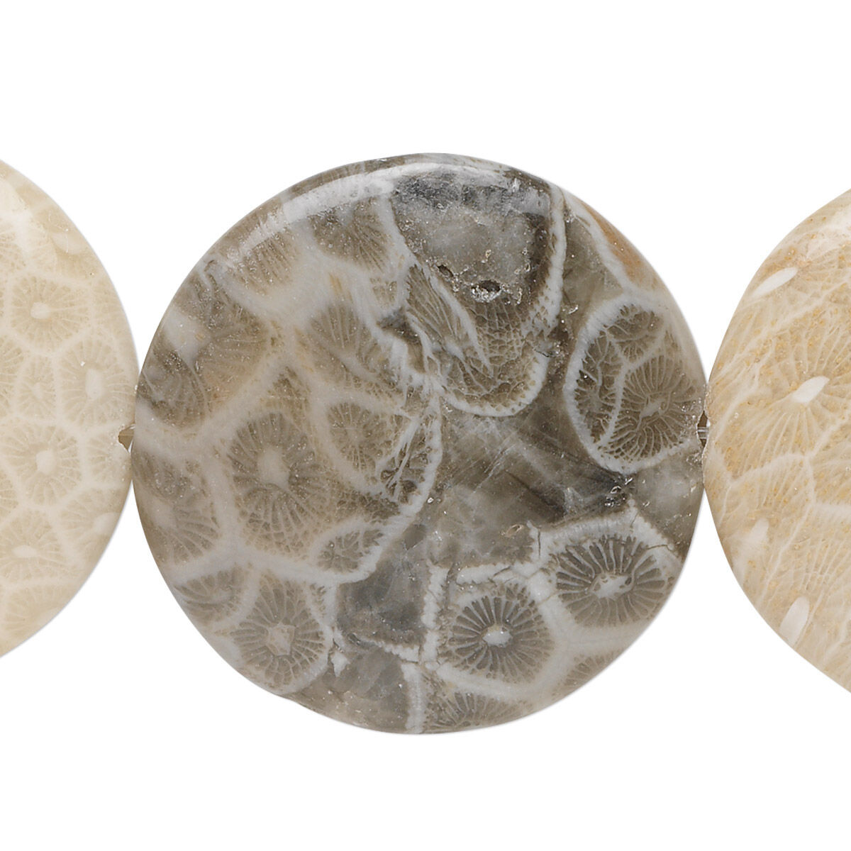 Fossil coral beads 2025
