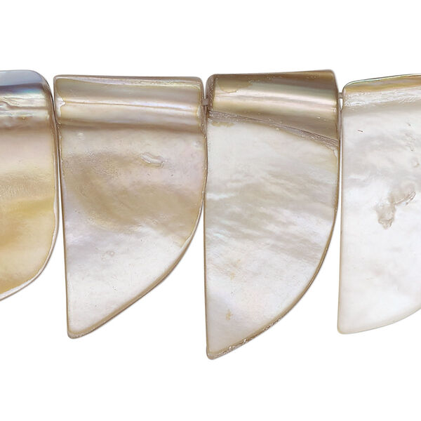 Bead, brown lip shell (natural), 12x4mm-16x6mm tooth shape. Sold per 15-inch strand. image number 0