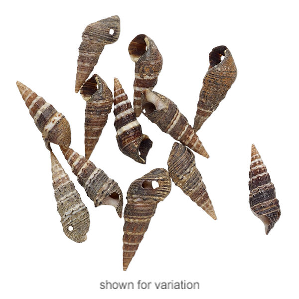 Drop mix, Japanese false cerith shell (natural), 24x8mm-31x10mm, Mohs hardness 3-1/2. Sold per pkg of 10. image number 1