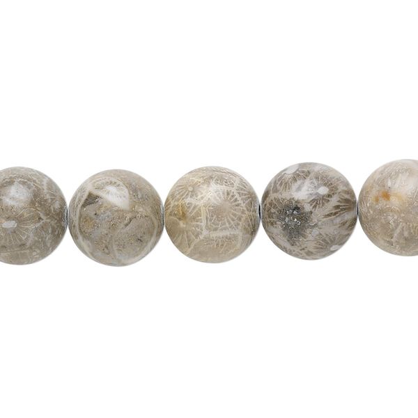 Fossil coral 1pkg1, round bead natural 15.5-16 inch 10mm image number 0
