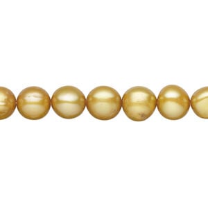 Freshwater pearl 1pkg1, semi-round, 15.5-16 inch dark gold 6-8mm cultured