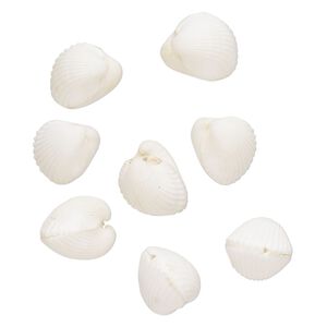 Ark shell 1pkg8, bead white 17-20mm
