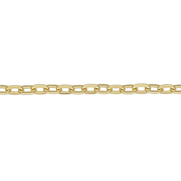 Chain, anodized aluminum, gold, 3.1mm flat cable. Sold per pkg of 5 feet. image number 0