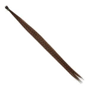 Faux feather, polyester, brown and black, 16 inches with stripes. Sold per pkg of 10.