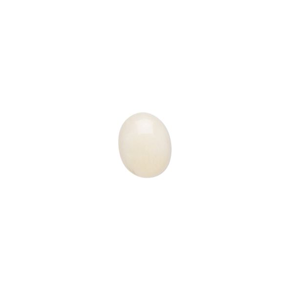 Cabochon, bamboo coral (bleached), white, 10x8mm calibrated oval, Mohs hardness 3-1/2 to 4. Sold per pkg of 2. image number 0