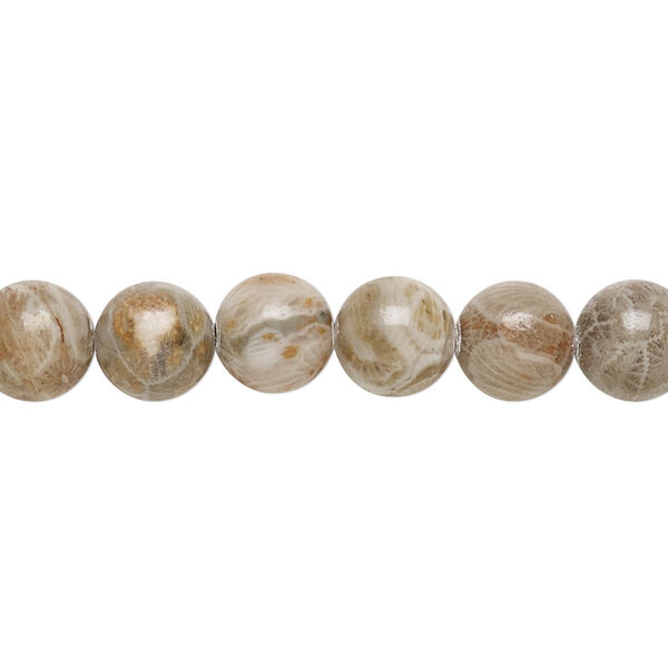 Bead, fossil coral (natural), 8mm round, B grade, Mohs hardness 6-1/2 to 7. Sold per 15-1/2" to 16" strand. image number 0