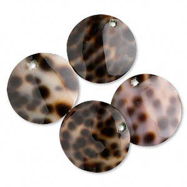 Drop, tiger cowrie shell (natural), 20mm round. Sold per pkg of 4. image number 0