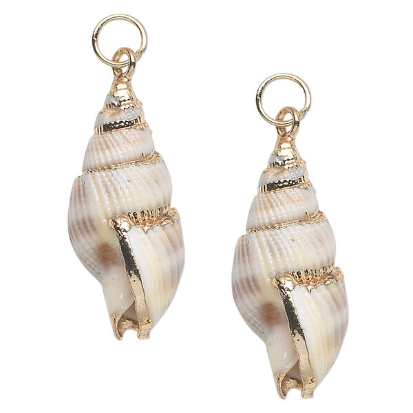 Drop, nassa shell (natural) and gold-finished steel, white / light brown / dark brown, 26x12mm. Sold per pkg of 2. image number 0