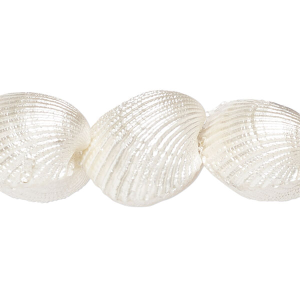 Bead, ark shell (bleached), white, 17-20mm, Mohs hardness 3-1/2. Sold per 8-inch strand, approximately 10 beads. image number 0