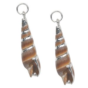 Drop, auger shell (natural) and silver-plated steel, 24x7mm. Sold per pkg of 2.