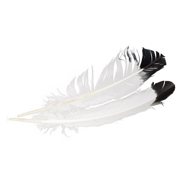 Feather, eagle (imitation), black and white, 10mm wide, 14 inches. Sold per pkg of 2. image number 0