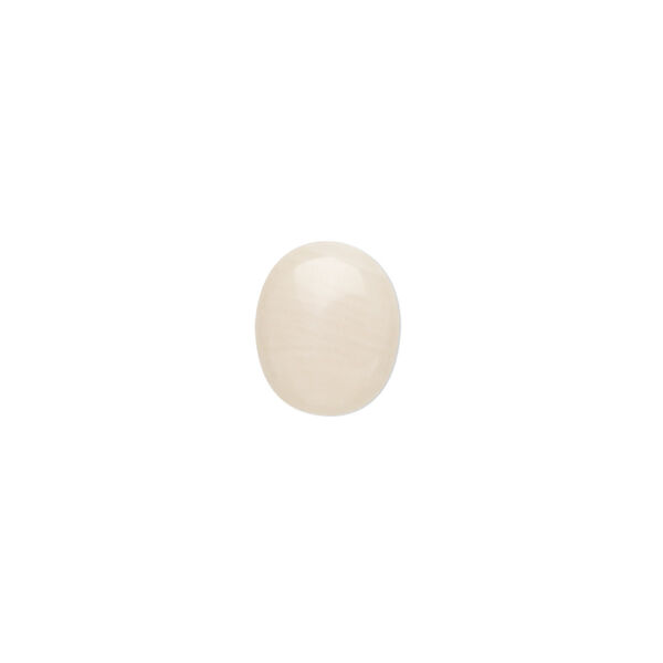 Cabochon, bamboo coral (bleached), white, 12x10mm calibrated oval, Mohs hardness 3-1/2 to 4. Sold per pkg of 2. image number 0