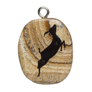 Focal 1pkg1 picture jasper / enamel / steel, 26x20-38x31mm single-sided freeform oval / antelope B- grade, natural / silver finish