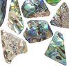 Focal and drop, abalone shell (natural), 16x17mm-36x25mm freeform, Mohs hardness 3-1/2. Sold per 1-ounce pkg, approximately 20-25 pieces. image number 0