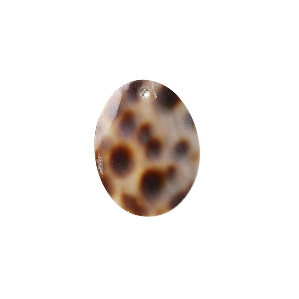 Drop, tiger cowrie shell (natural), 20x15 oval, Mohs hardness 3-1/2. Sold per pkg of 2. image number 0