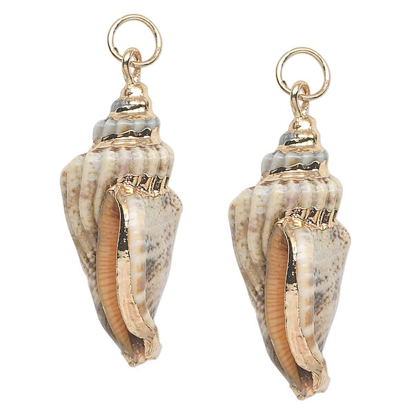 Focal, conch shell (natural) and gold-finished steel, white / dark brown / light brown, 38x18mm. Sold per pkg of 2. image number 0
