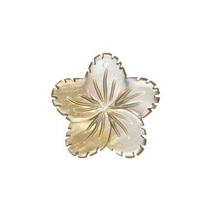 Drop, brown lip shell (natural), pkg/2, 19x19mm-21x21mm flower.