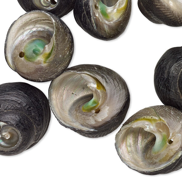 Bead, black turban shell (natural), 24x15mm-28x15mm, Mohs hardness 3-1/2. Sold per pkg of 10. image number 0