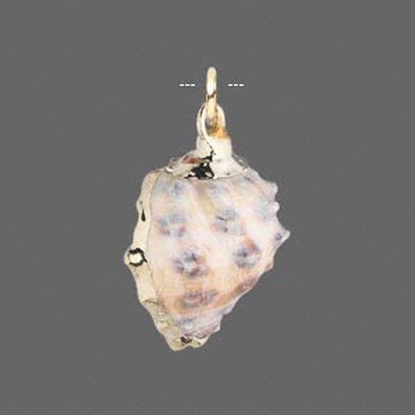 Drop, mancinella rock shell (natural) and gold-finished copper, 18x14mm-26x22mm with 5mm jump ring, Mohs hardness 3-1/2. Sold individually. image number 0