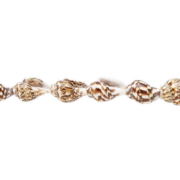 Bead, tiger nassa shell (natural), 7x4mm-12x7mm, Mohs hardness 3-1/2. Sold per 36-inch strand. image number 0