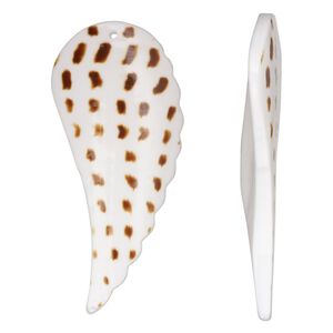 Focal, tiger cowrie shell (natural), 55x24mm-56x25mm single-sided hand-cut carved wing, Mohs hardness 3-1/2. Sold individually.