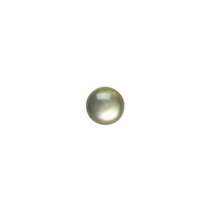 Cabochon, black lip shell (coated), black, 8mm calibrated round, Mohs hardness 3-1/2. Sold per pkg of 4.