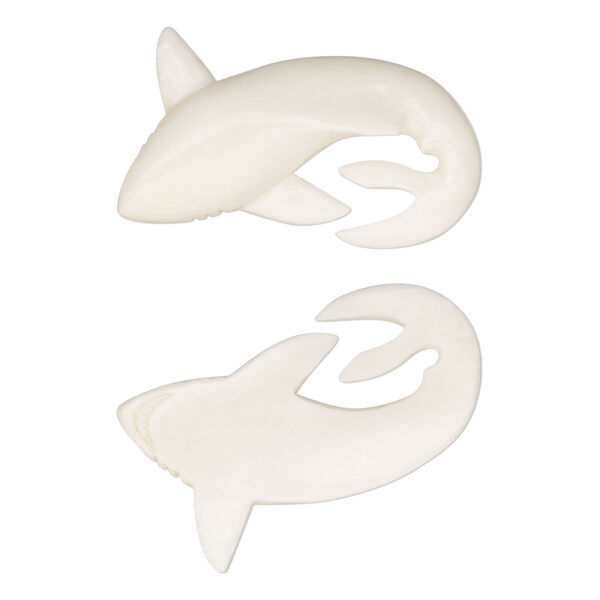 Focal, bone (bleached), pkg/1, 49x34mm-51x3mm shark. image number 0