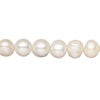 Freshwater pearl 1pkg1, mixed shapes, 15 inch white / light silver peacock 7-10mm cultured image number 0