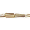 Mother-of-pearl shell 1pkg1, stick bead 15 inch beige /, green / yellow 11x9mm-15x10mm image number 0