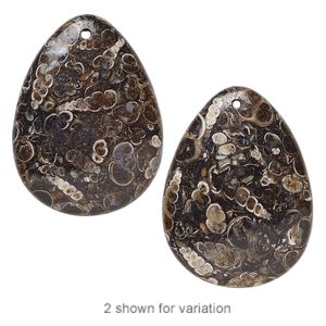 Turritella agate 1pkg1, puffed teardrop focal 40x30mm
