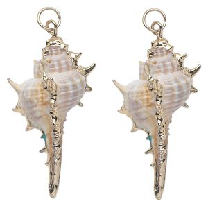 Focal, murex shell (natural) and gold-finished steel, white / dark brown / light brown, 53x19mm. Sold per pkg of 2.