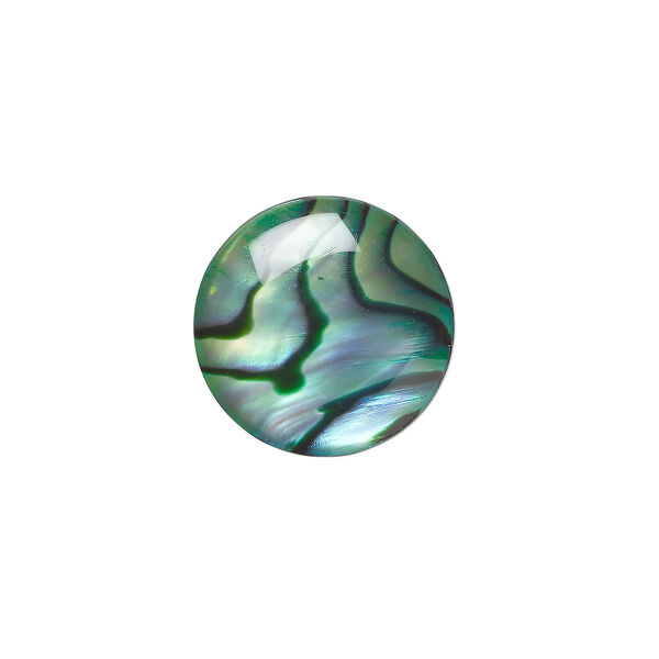 Cabochon, paua shell (coated / dyed), green, 15mm calibrated round, Mohs hardness 3-1/2. Sold per pkg of 4. image number 0